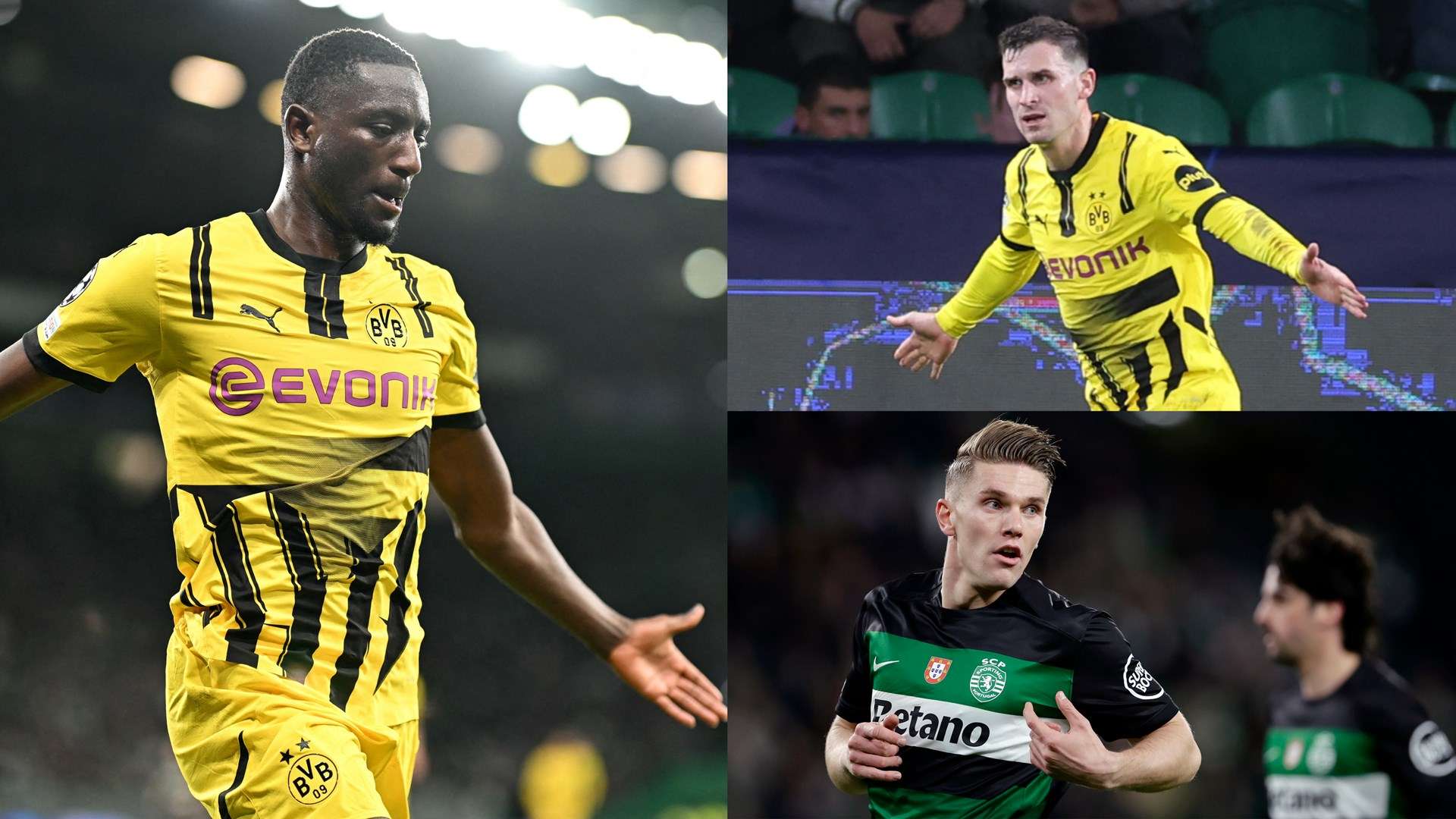 自我的机会 自我的机会