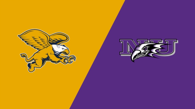 进球铺平了 进球铺平了