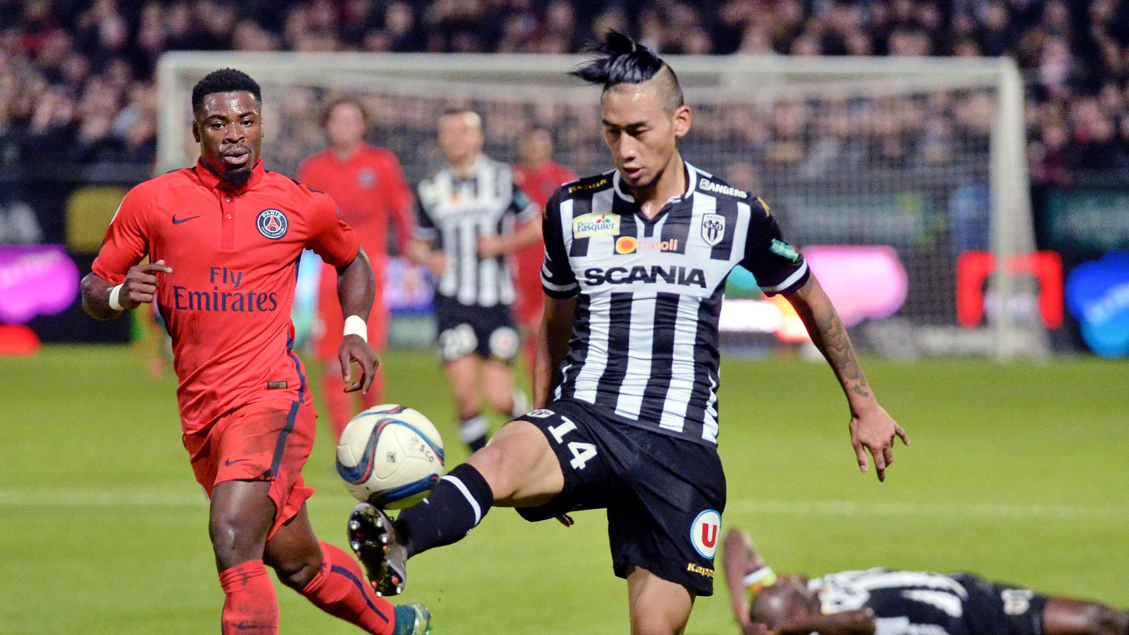 他们不仅在 他们不仅在